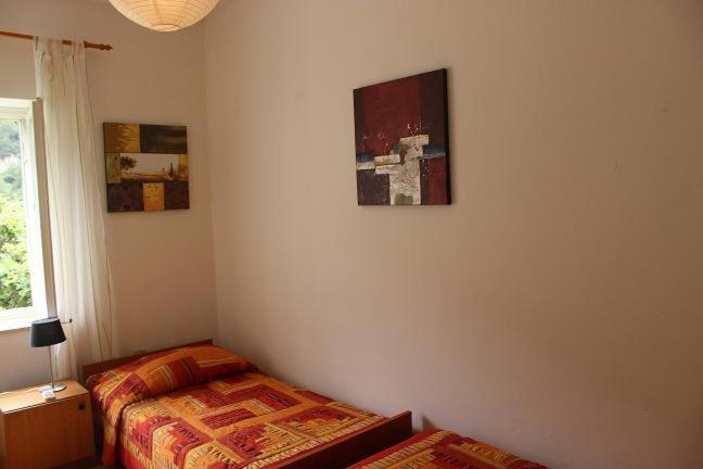 House Knezevic
